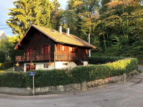 Lovely Cabin in front of Lake Geneva